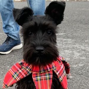 Meet your Posher, Beverley